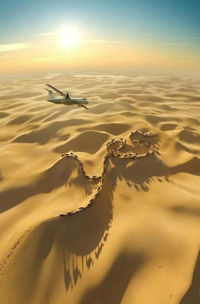 EL TENOR DE LAS ROSAS III