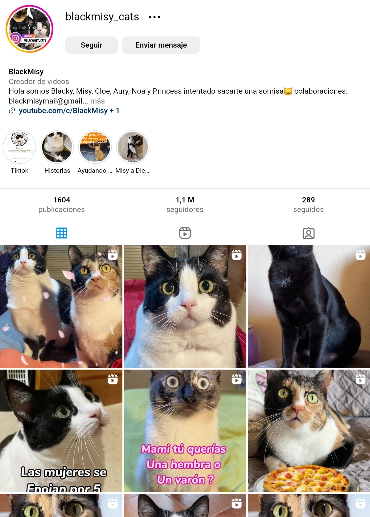 SUZANNE WOLF Y BLACKMISY